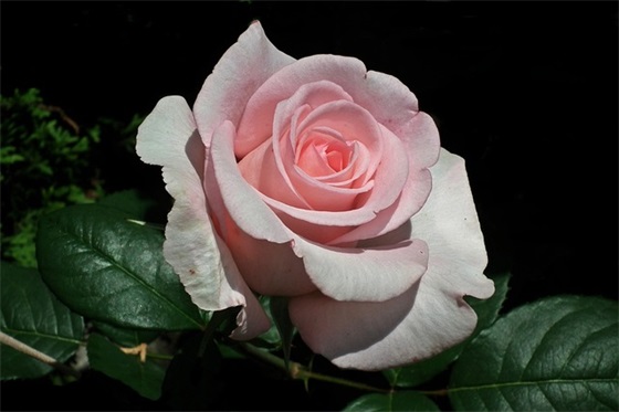 中学生的学期寄语-100句