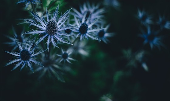 干净好听的昵称7个字,七个字独特好听昵称