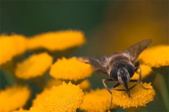 2025元旦节简短好句最唯美祝福