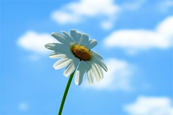 给爱人留言86句