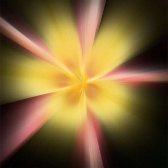 关于诚信的好词好段