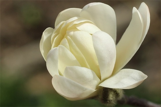 妈妈写给宝宝感动的话95句