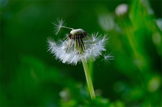 父亲节贺卡内容82句