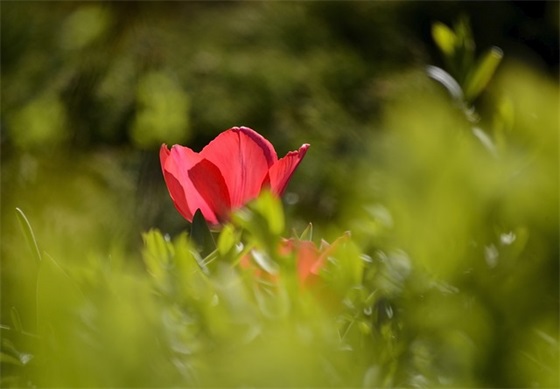 男人感动女人的话语85句