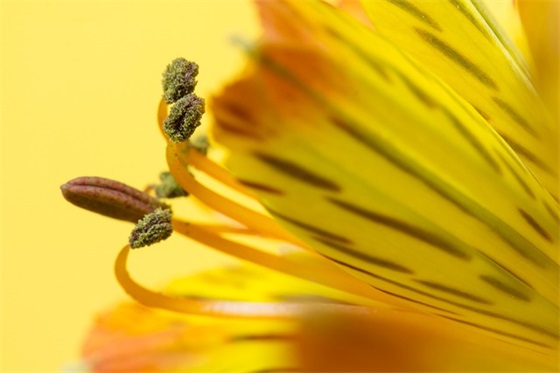 三八妇女节80句