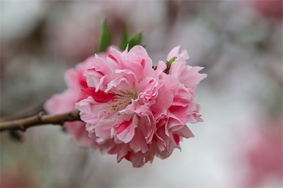 哄老婆开心的笑话82句