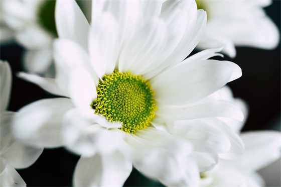 家长给毕业同学们的寄语-53句