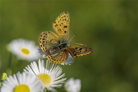 一年级期末家长对小孩的寄语-53句