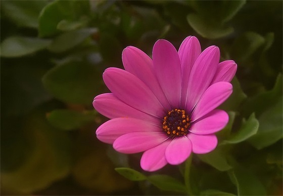 对小学生寄语-100句