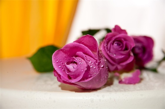 学前班毕业典礼寄语 【100句精选】