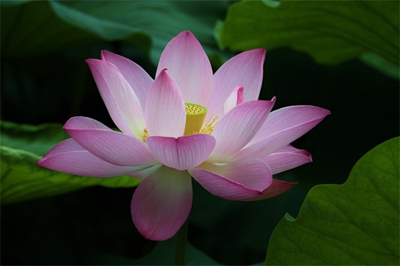 2年级家长寄语 【2年级家长寄语精选】