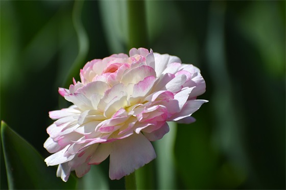 老师对幼儿园孩子的成长寄语 【老师对幼儿园宝贝的成长寄语】