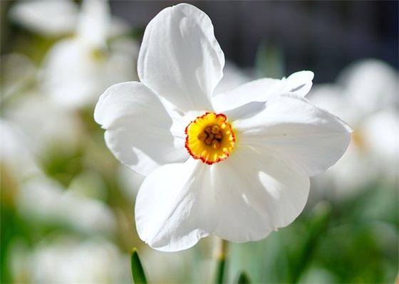 给初中孩子的寄语简短 【家长对初一孩子的寄语和期望】