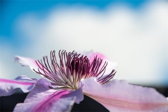 家长寄语简短一句话关于安全 【关于安全家长意见和建议大全】