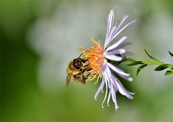 对高一孩子的寄语和鼓励的话 【高中孩子的寄语和鼓励的话怎么写】