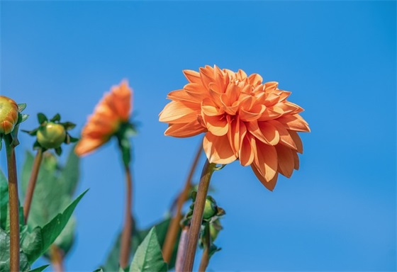 十岁寄语大全-89句