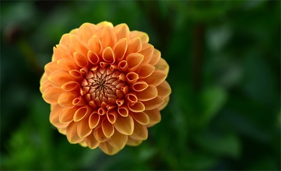 幼儿过生日父母寄语 【幼儿园孩子过生日家长发什么祝福语】