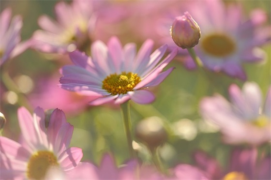 对4岁宝贝的成长寄语简短 【对4岁儿子的成长寄语】