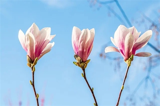 毕业班开学寄语 【毕业班新学期寄语】