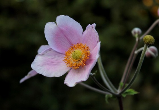 团队新年寄语 【团队新年寄语2026简短】