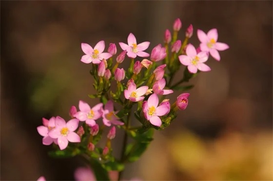 对毕业大学生的寄语与期望 【100句精选】