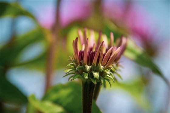 描述现代美女的句子35句