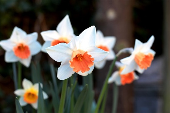 光阴伤感句子 十年光阴的伤感句子