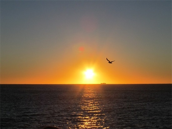 关于幸福美满家庭的优美句子