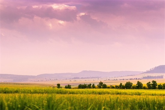 2025最新防控疫情正能量句子精选