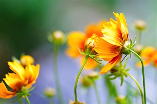 孩子学不好家长的寄语怎么写 【孩子学不好家长的寄语怎么写呢】