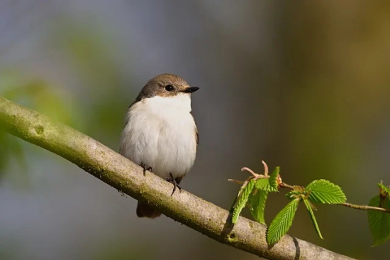 临近期末考试家长对孩子的寄语-85句