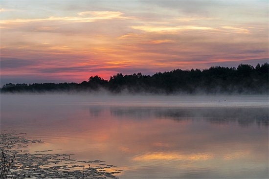 父母对子女婚姻寄语 【婚姻中最精辟的一句话】