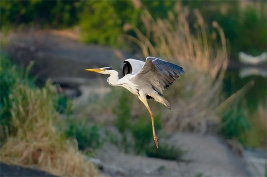 毕业了我对自己说寄语 【毕业对自己说的一句话】