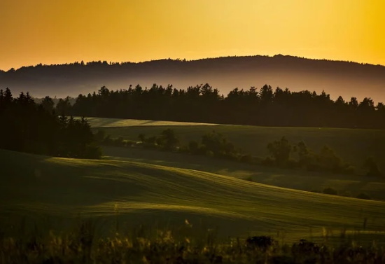 高考心愿寄语的句子 【高考心愿语录】