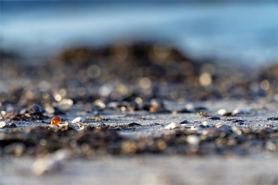 家长对即将上高三孩子的寄语 【家长给即将上高三孩子的信】