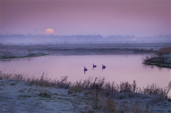 家长小学生的毕业寄语 【家长小学生的毕业寄语简短】