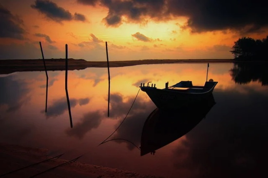 形容疫情冬天过去春天到来的句子