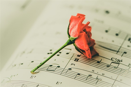 新的一天正能量句子68句