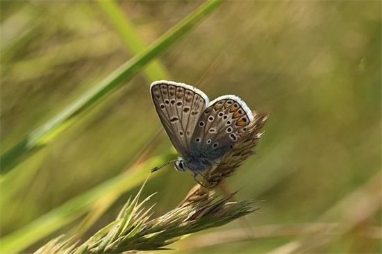 3月寄语 【3月寄语大全】
