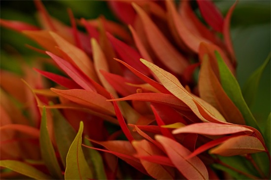 大班毕业老师寄语-56句