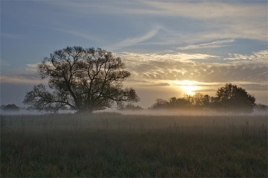防溺水家长寄语50字 【防溺水家长的话怎么写】