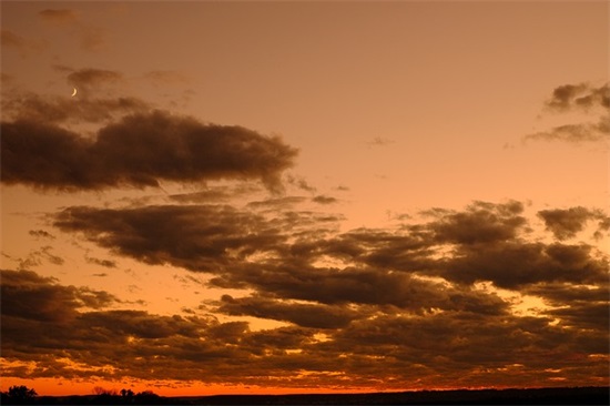 2025网络爱情句子 2025爱情蜜语