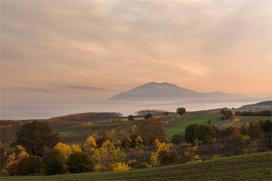 感恩遇见的话语 让对方看到暖心的句子