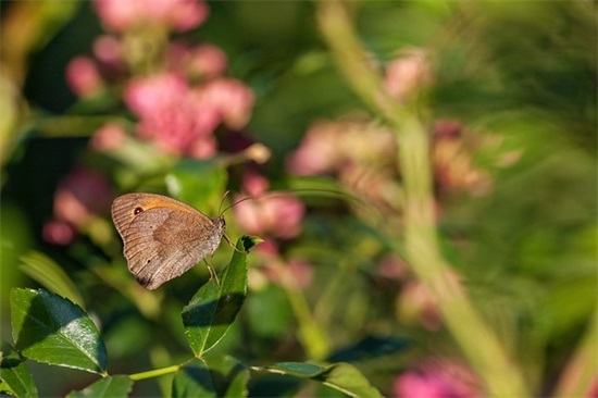 听着很扎心的句子
