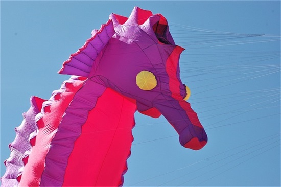 阳光心态正能量的句子短句