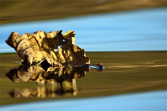 18岁女孩生日寄语简单-52句