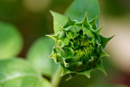 进入高中的寄语-60句