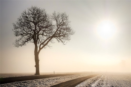 一年级家长对孩子的鼓励和期望寄语-52句