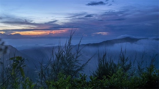 句子迷经典语录唯美简短(分享36条)