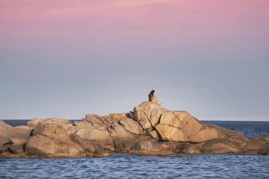 关于四季的句子84句